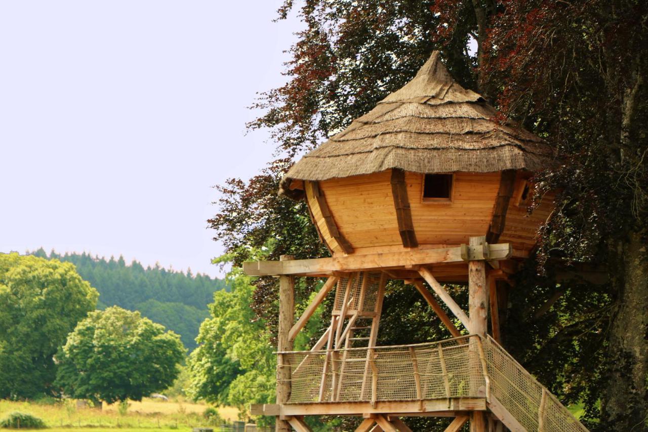 Cabane Perchee Dans Les Arbres Saint-Hilaire-en-Morvan Buitenkant foto