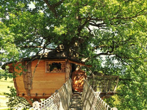 Cabane Perchee Dans Les Arbres Saint-Hilaire-en-Morvan Buitenkant foto