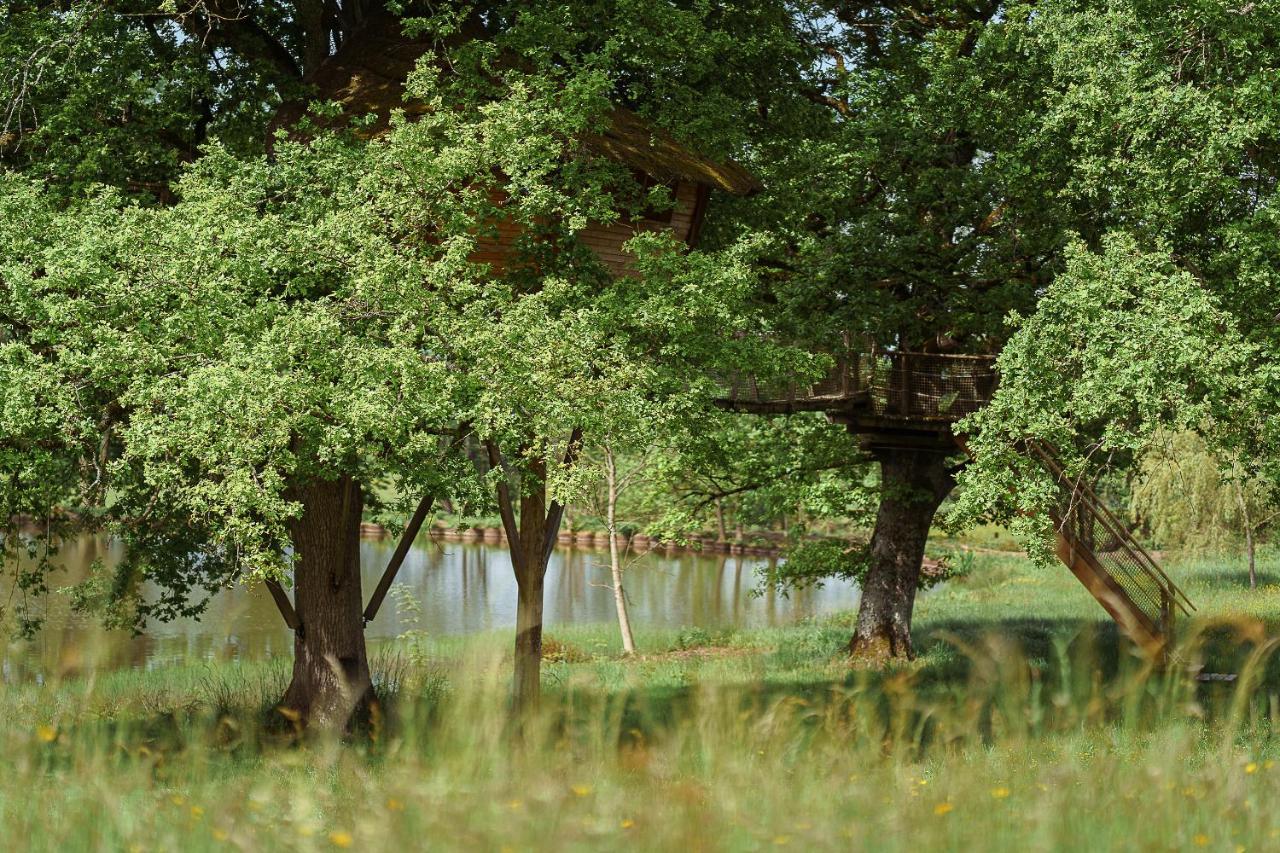 Cabane Perchee Dans Les Arbres Saint-Hilaire-en-Morvan Buitenkant foto