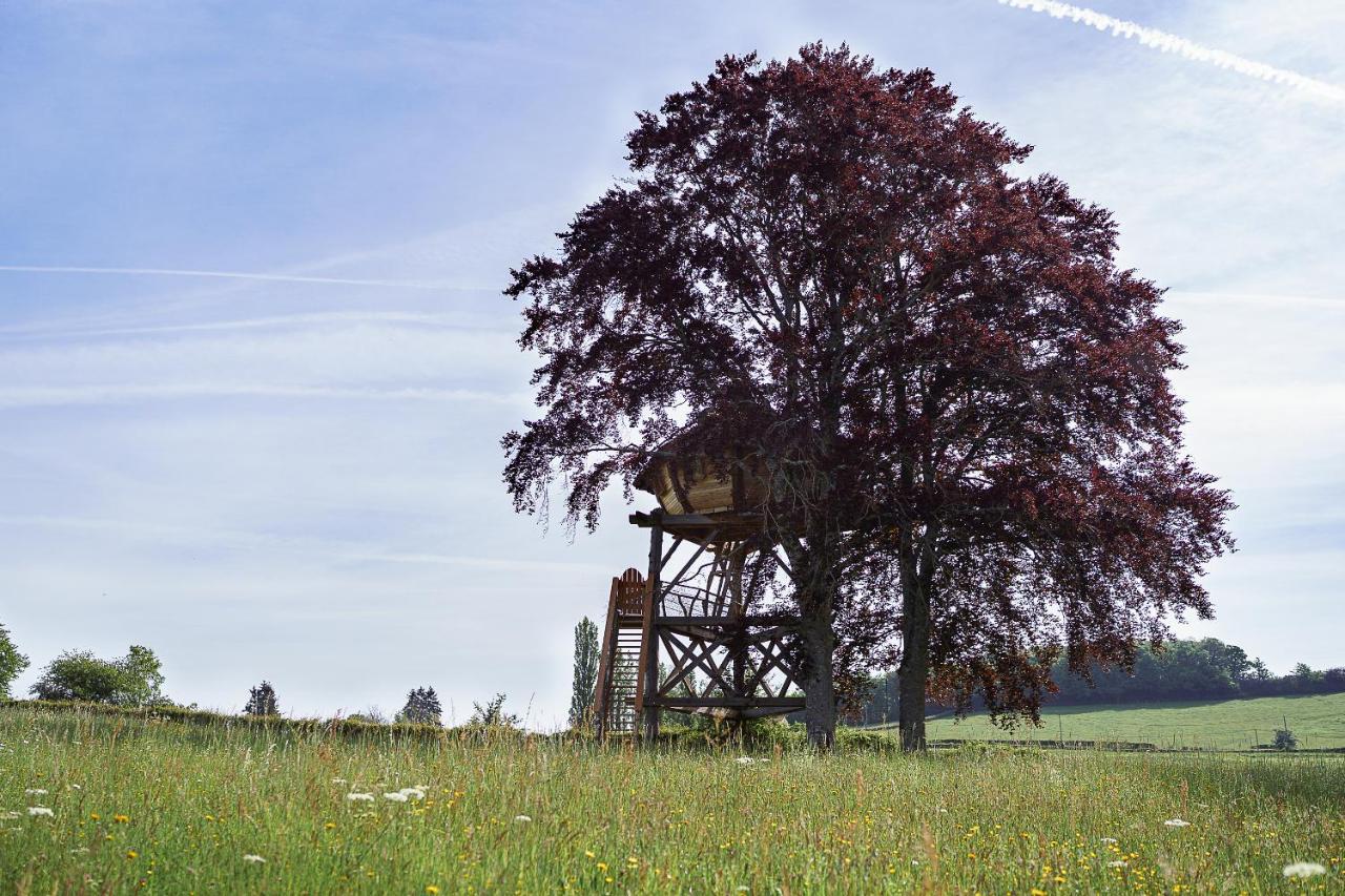 Cabane Perchee Dans Les Arbres Saint-Hilaire-en-Morvan Buitenkant foto