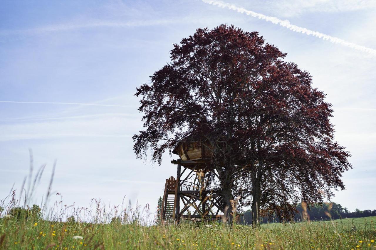 Cabane Perchee Dans Les Arbres Saint-Hilaire-en-Morvan Buitenkant foto