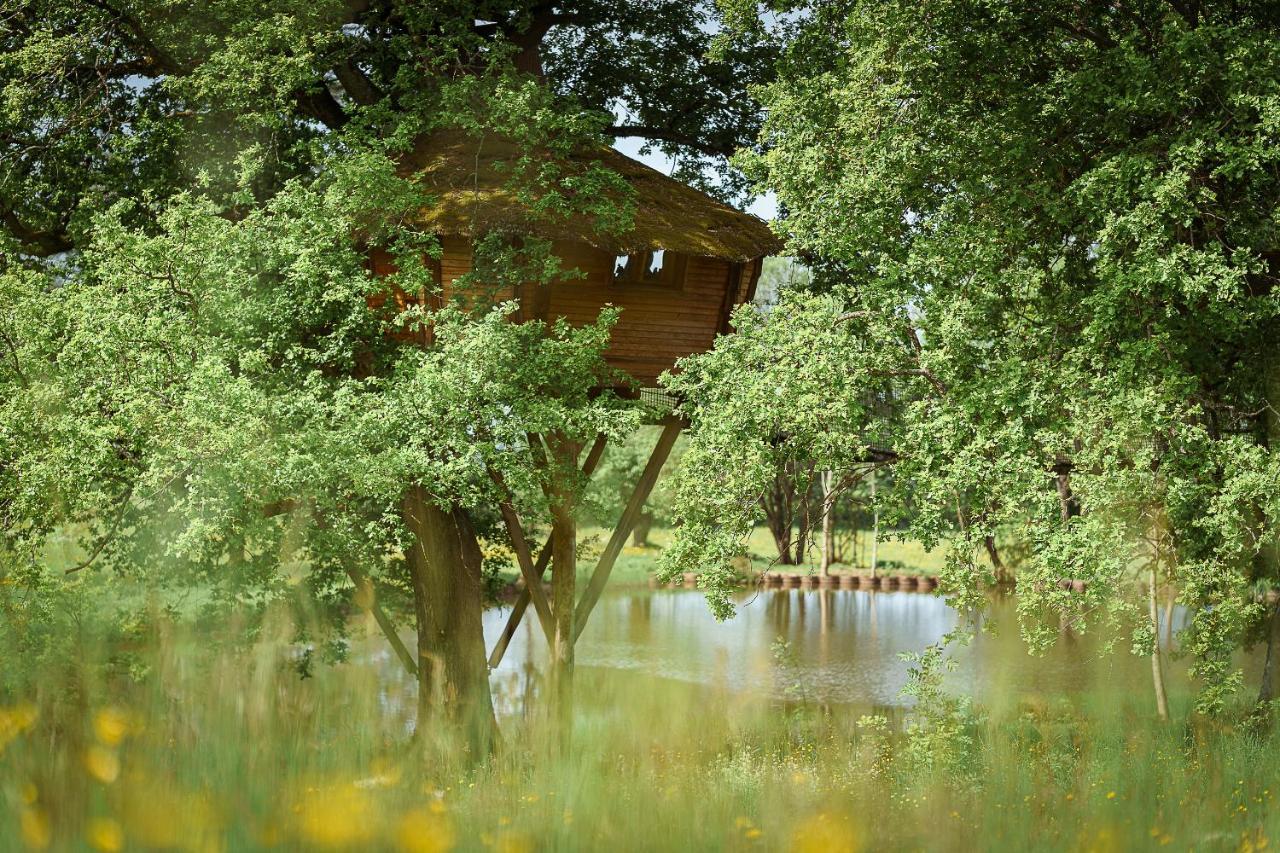 Cabane Perchee Dans Les Arbres Saint-Hilaire-en-Morvan Buitenkant foto