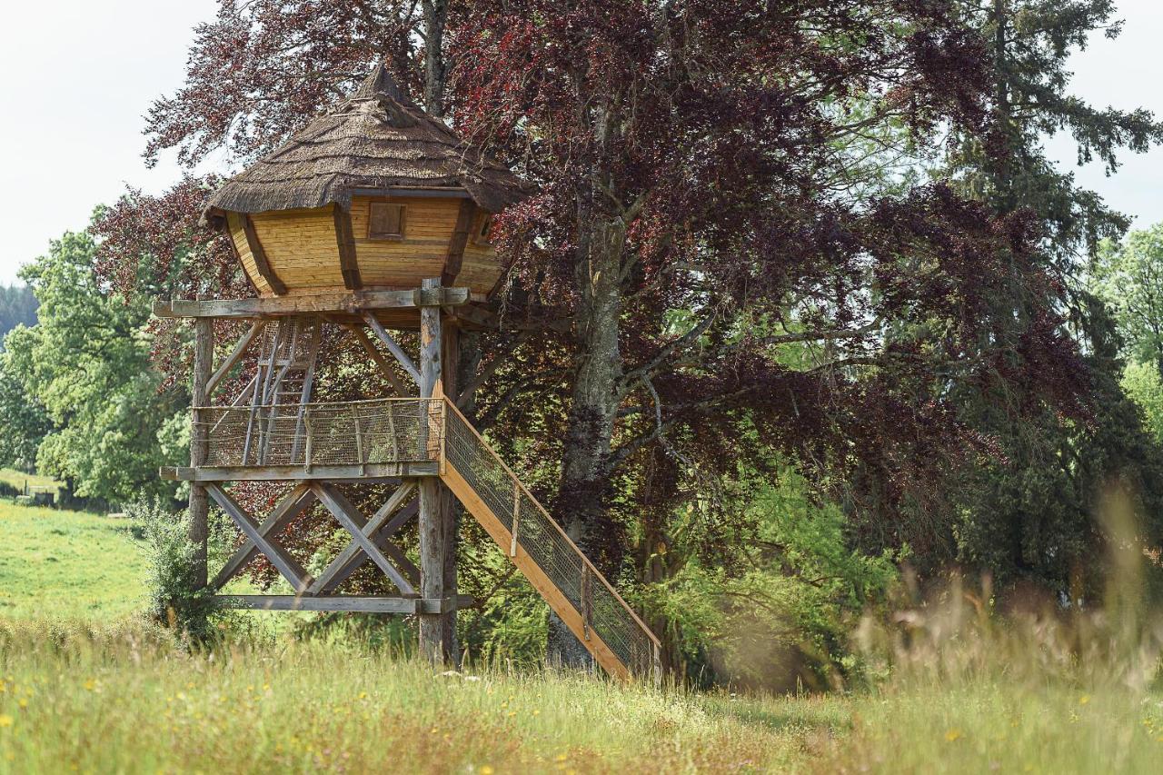 Cabane Perchee Dans Les Arbres Saint-Hilaire-en-Morvan Buitenkant foto