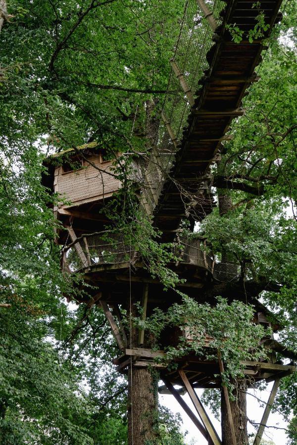 Cabane Perchee Dans Les Arbres Saint-Hilaire-en-Morvan Buitenkant foto