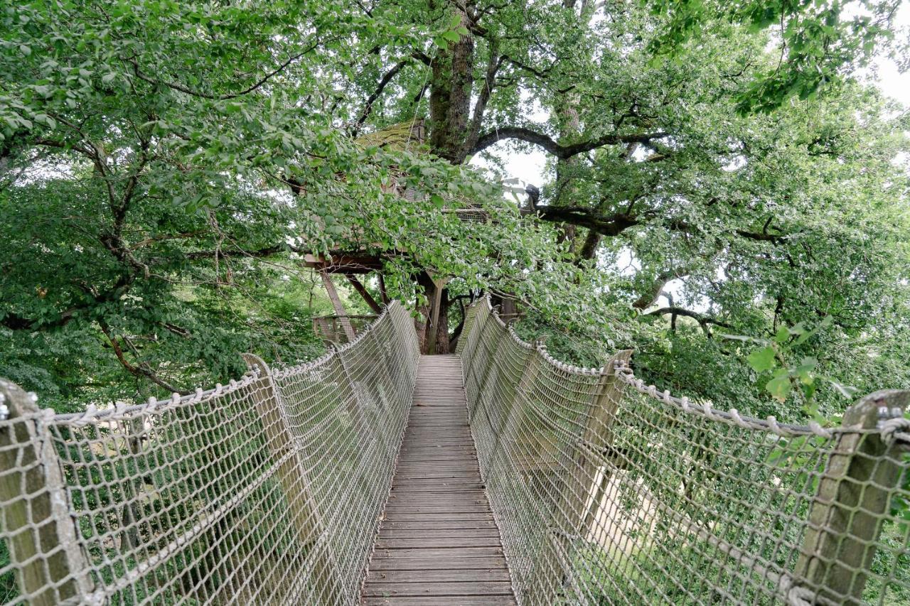 Cabane Perchee Dans Les Arbres Saint-Hilaire-en-Morvan Buitenkant foto