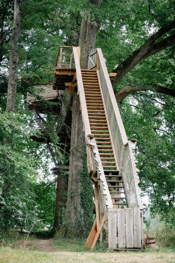 Cabane Perchee Dans Les Arbres Saint-Hilaire-en-Morvan Buitenkant foto