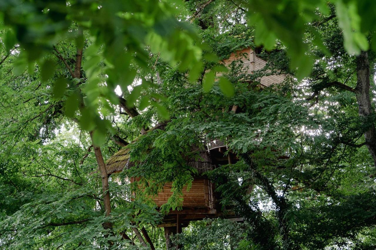 Cabane Perchee Dans Les Arbres Saint-Hilaire-en-Morvan Buitenkant foto